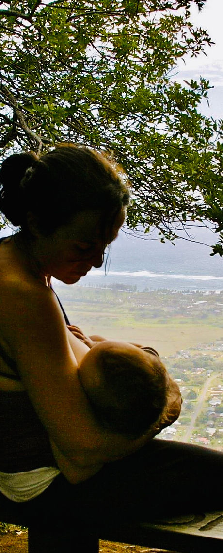 Lactation