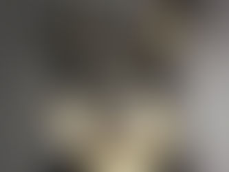 Gastroenterite em Cães