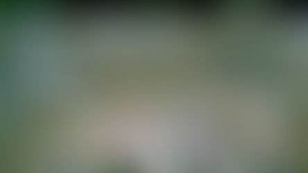 GCM de Caieiras combate o tráfico de drogas em Laranjeiras