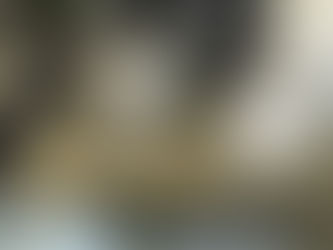 Guarda Municipal de Caieiras prende três por tráfico de entorpecentes no bairro Nova Era