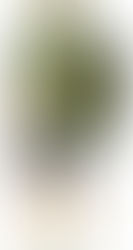 Qual a mochila ideal para seu filho?