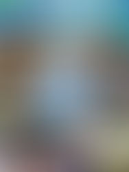 Pela democratização do espaço público… Está de volta, Zona Azul