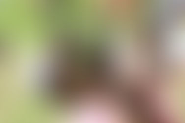 Projeto “Semeando o bem” une Secretarias Municipais de Caieiras e comunidade para realizar melhorias