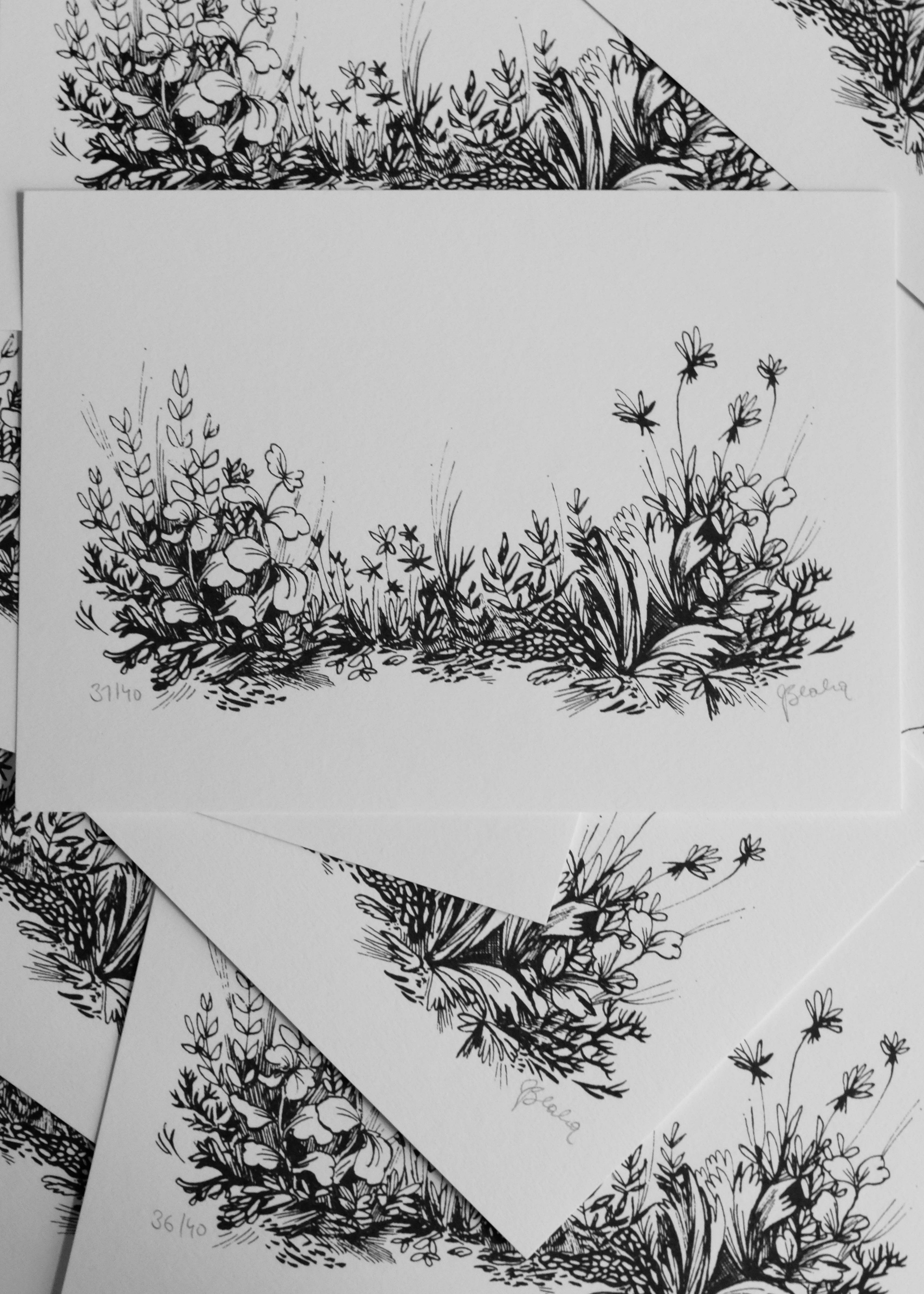 A5 Print 'Wildblumen ll'