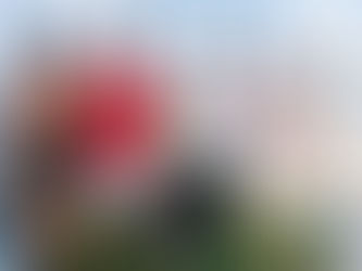 SNEAKER FACTORY CELEBRATES MONUMENTAL SUCCESS IN JUST FIVE YEARS