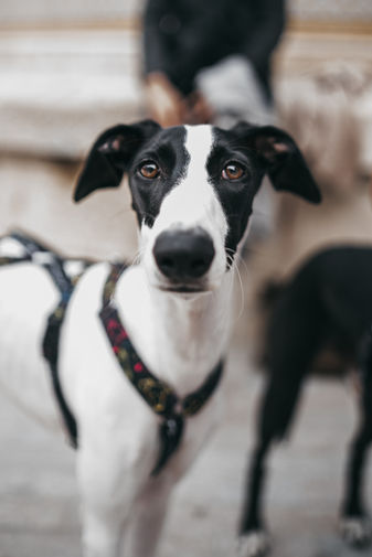 La Orgánica Studio 27.jpg