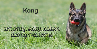 KONG-Website-Hero-19-2400x1165_edited.jp