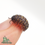 Thumbnail: Roly-poly (Armadillidium vulgare)