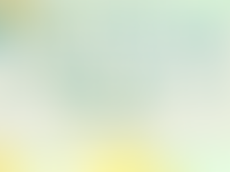 【登壇情報】3/6(金)Fellne FES 2026 名古屋「Cafe & Talk Session」に上条代表が登壇します