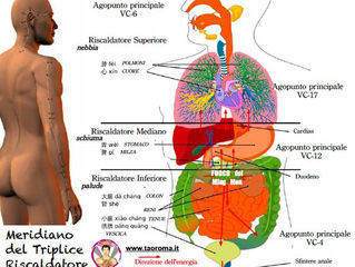 Triplice riscaldatore: l’equilibrio dei tre fuochi