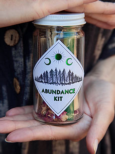 Abundance Kit