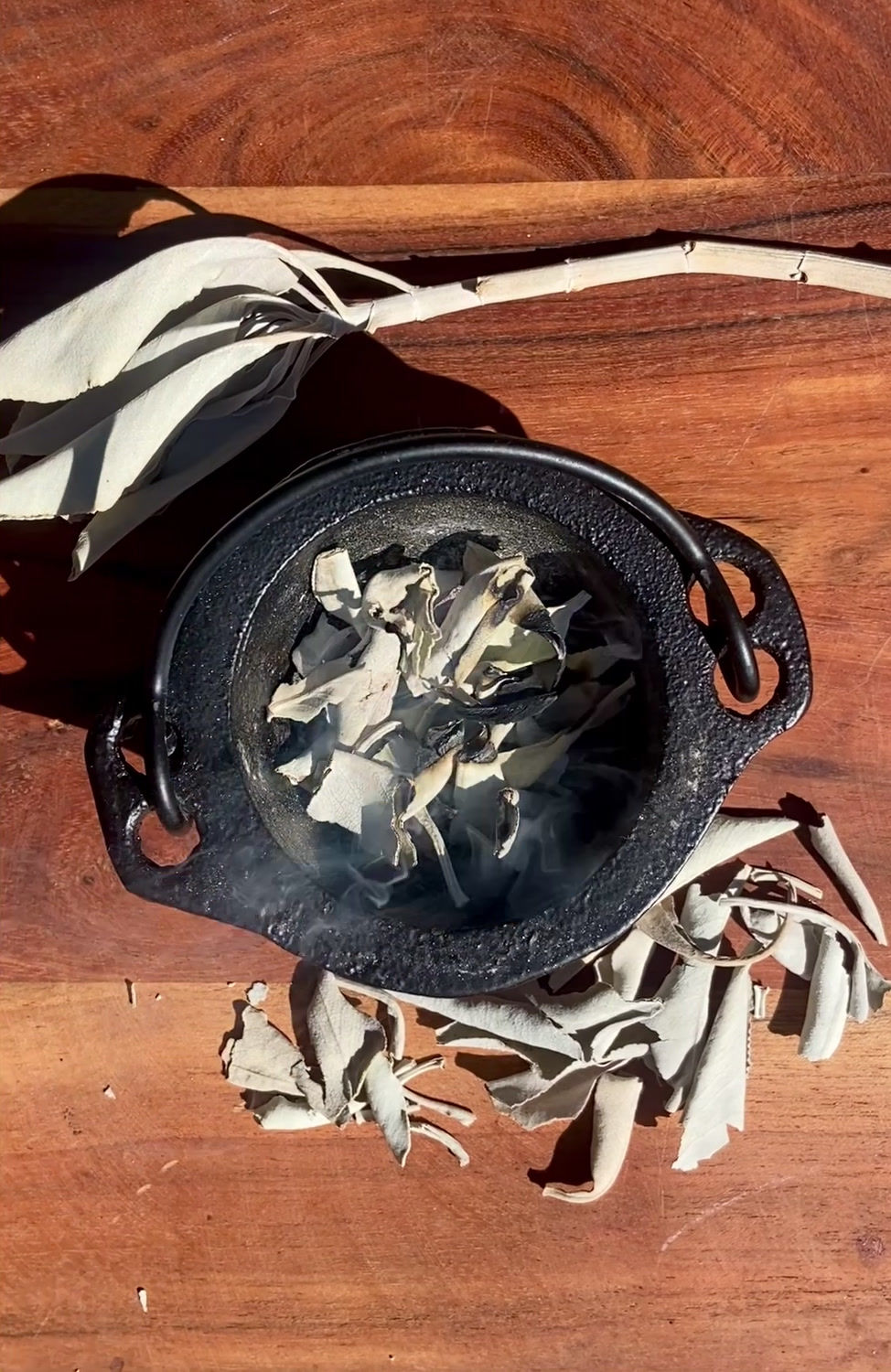 Thumbnail: White Sage Leaf