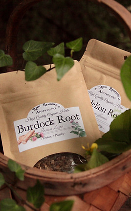Burdock in a Basket (1).jpeg