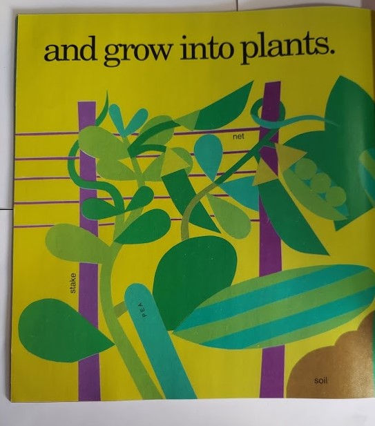 Thumbnail: Growing Vegetable Soup by Lois Ehlert