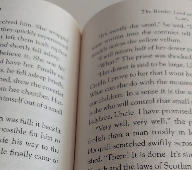 Thumbnail: Border Lord and the Lady (#4) by Bertrice Small