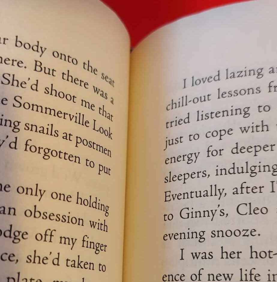 Thumbnail: Cleo The cat who Mended a Family by Helen Brown