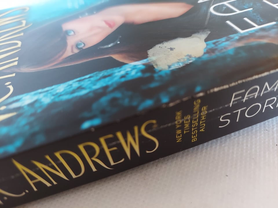Thumbnail: Family Storms (#1) by V.C Andrews