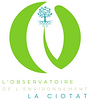 Logo Observent
