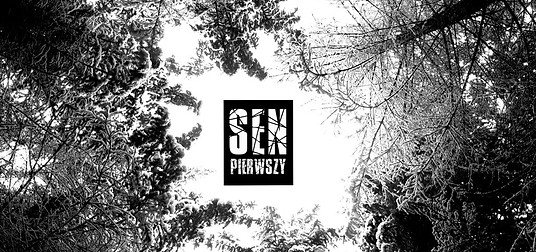 The First Dream - Przemysław Lewandowski.jpg