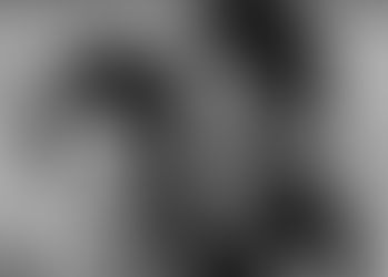 Morre aos 101 anos a mãe do rei Pelé