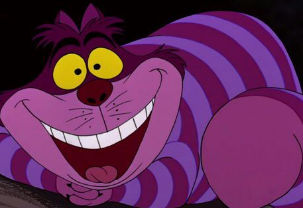 O empolgado 'gato mestre' que surgiu em Itabela