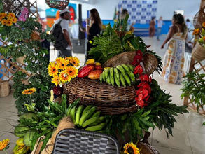 Eunápolis sedia I Encontro Territorial do FORMACAMPO e celebra os saberes e culturas do campo