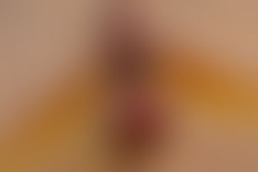 O mal da formiga que criou asas é pensar que virou passarinho