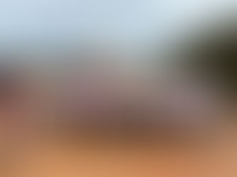 O vergonhoso desdém no desvio da Veracel