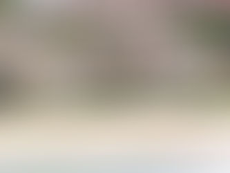 Hotéis, restaurantes e mansões na mira de indigenistas