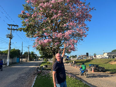 Francisqueto publica post com árvores floridas plantadas no início de sua primeira gestão e faz sucesso na web