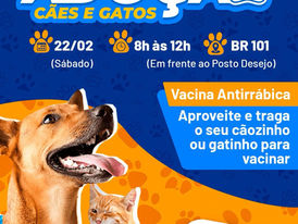 Prefeitura de Eunápolis realiza feira de adoção de cães e gatos neste sábado (22) na UVZ