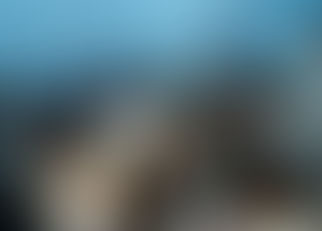 Itabela aprova licenças ambientais para empresas e produtores, fomentando a economia sustentável do município