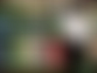 Supermercados na Bahia restringem venda de arroz devido a enchentes no Rio Grande do Sul