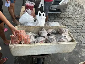 Estudo aponta que tilapia de feira na Bahia  está contaminada