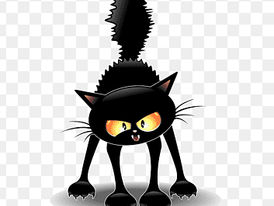 O gato pardo que mia em Itapebi