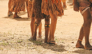 Indígenas interditam Parque Nacional do Descobrimento no Extremo Sul baiano