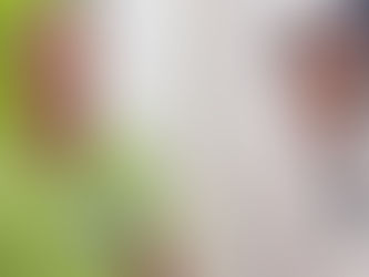 Carlos Lero será eleito em Cabrália sendo o fiel da balança em cenário de indefinição