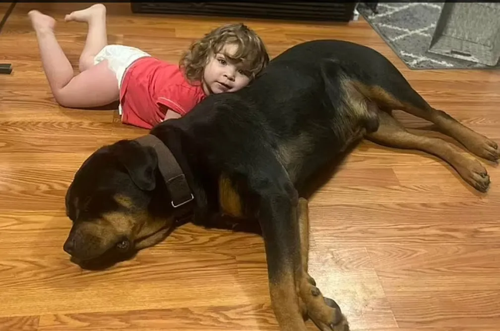 criança dorme ao lado de cachorro