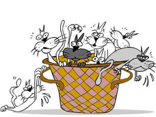 Assim como foram "juntos e misturados" para prefeito vai ser outra vez no apoio ao filho de Jânio