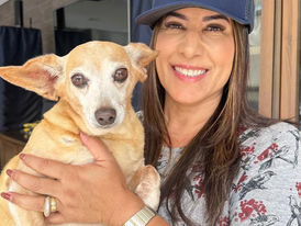 Deputada Cláudia Oliveira cobra ação do poder público e propõe política nacional de proteção animal