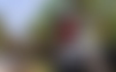 Mortes na estrada são a combinação infeliz de imprudência e condições das vias