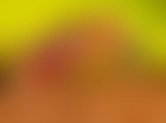 Febre oropouche causa primeira vítima fatal na Bahia