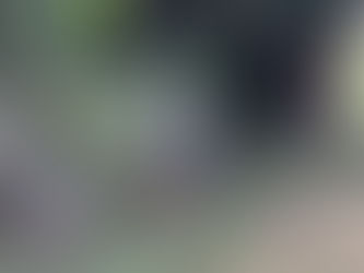 Corpo de homem vítima de atiradores atacado em ônibus é encontrado