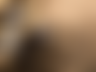 Política| açúcar e a areia no motor de prefeitos e prefeitas