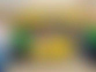 Deputada Cláudia Oliveira entrega barracas da economia solidária para artesãs de Itabela