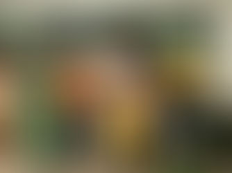 Tratamento Fora do Domicílio torna Eunápolis referência em TFD