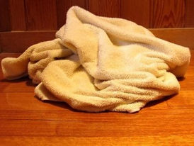 Hélio De Paula "joga a toalha" e desiste de pré-candidaturas em Cabrália, Jânio vai apoiar Soraia