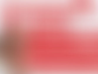 Convenção do PMN| Mais um passo na Campanha de Aziz Ramos