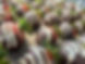 image1 (6).jpeg