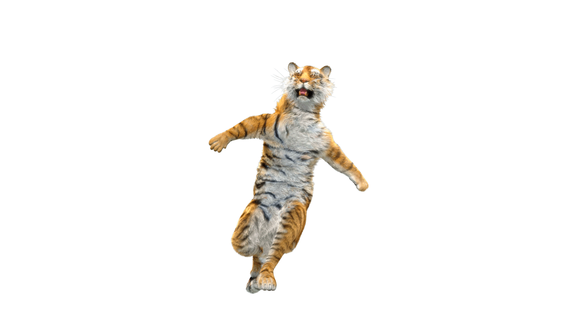 Tiger-Dancing-5.gif